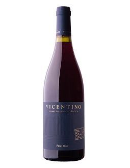 Vicentino Pinot Noir Tinto 2020