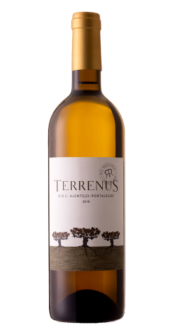 Terrenus Branco - Rui Reguinga