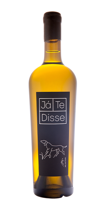 Já Te Disse - Branco