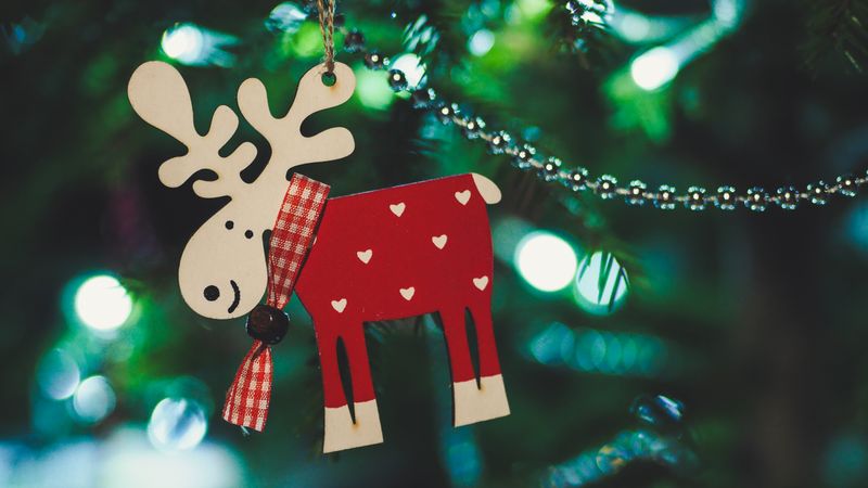 HOLIDAY CHAOS SURVIVAL GUIDE