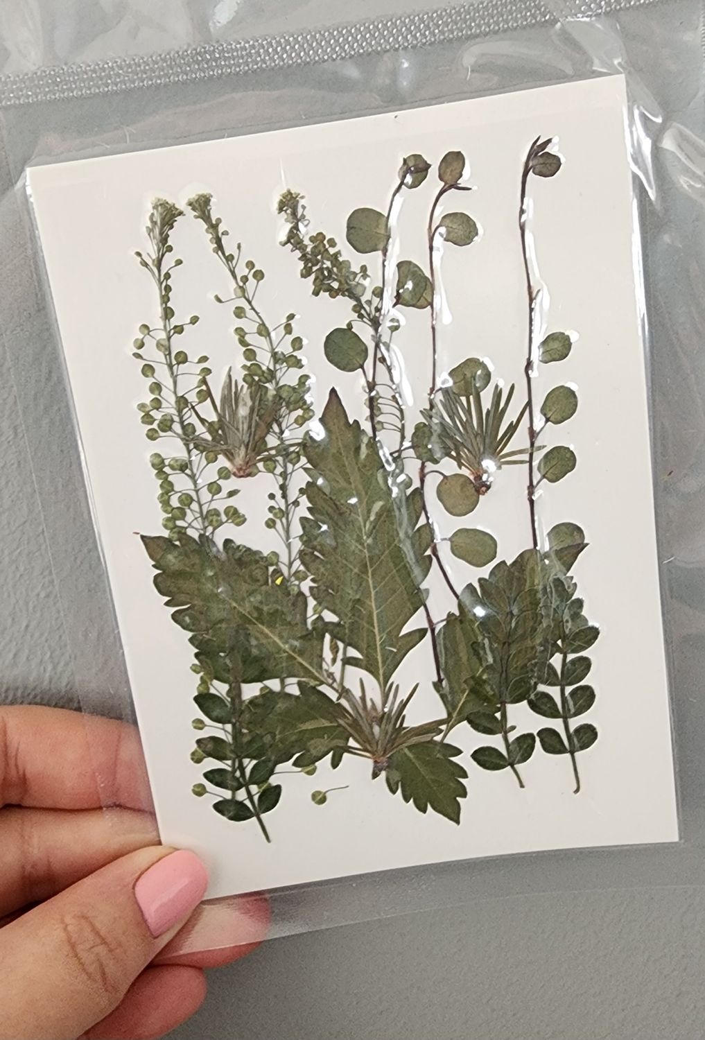 Dry leaf botanicals - UV Resin / Sun printing 