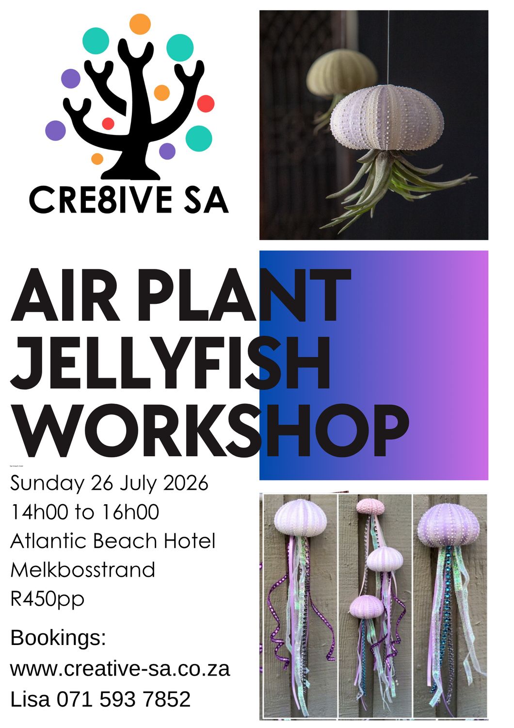 Air Plant Urchin Shell Jelly Fish Workshop @ 14h00 on 26 July 2026 - Atlantic Beach Hotel Melkbosstrand