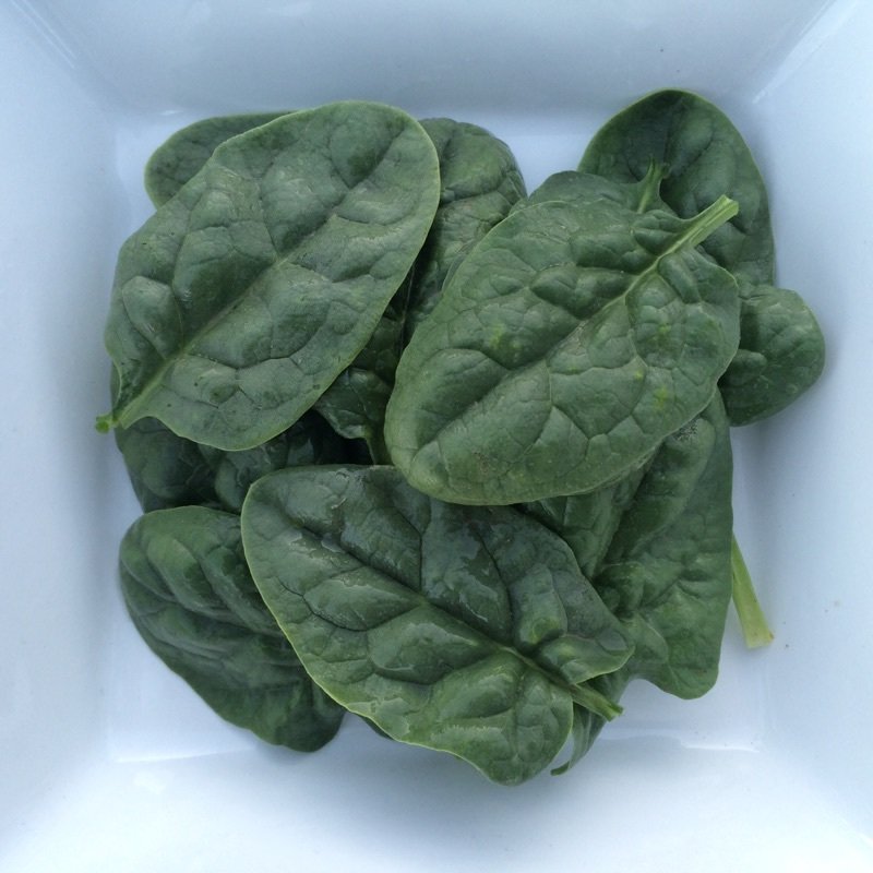 Bloomsdale Spinach