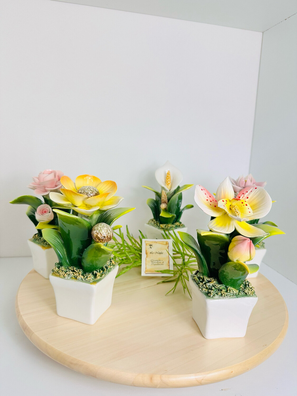 Pianta con fiori in ceramica
