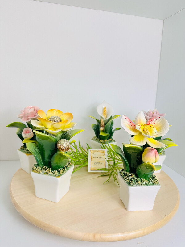 Pianta con fiori in ceramica
