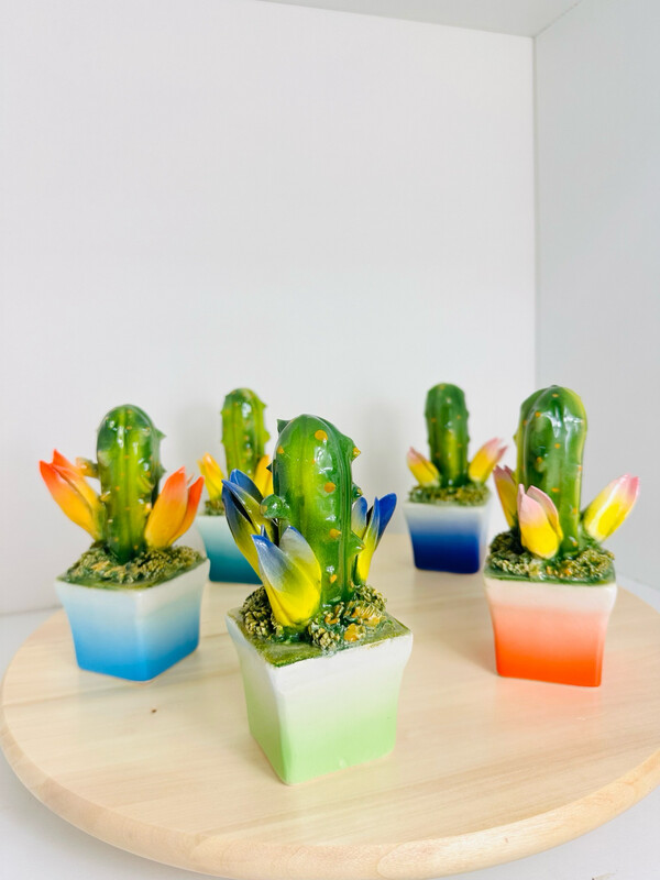 Cactus con tulipano in ceramica