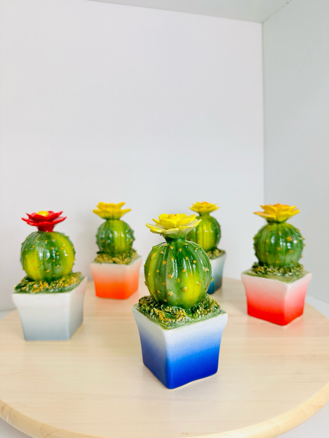 Cactus con fiorellino in ceramica