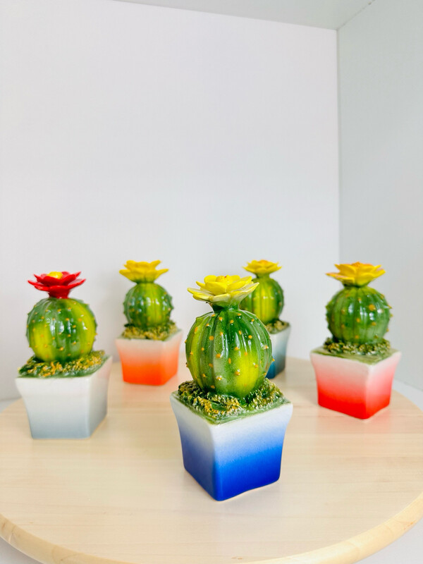 Cactus con fiorellino in ceramica