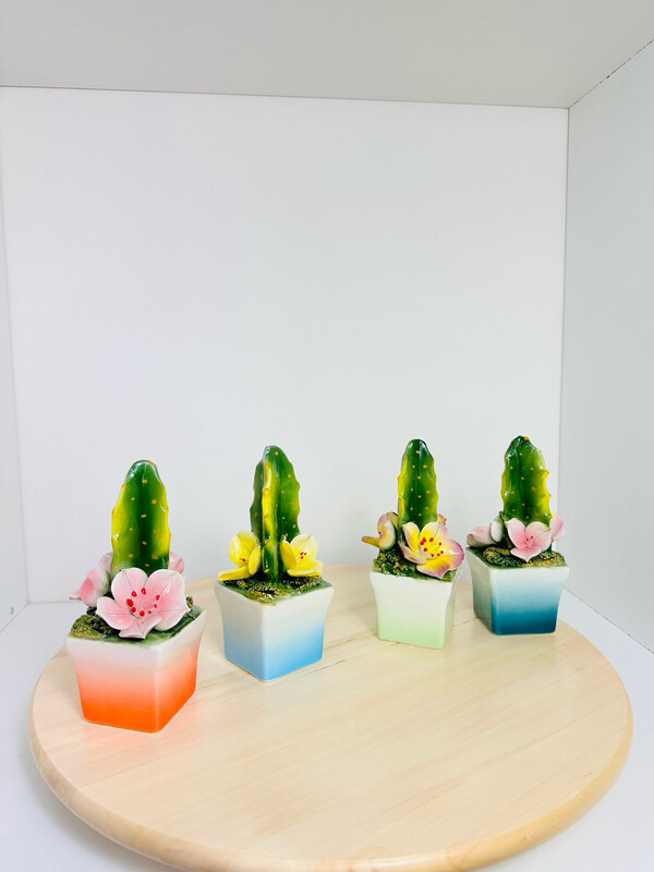 Cactus con jasmin in ceramica