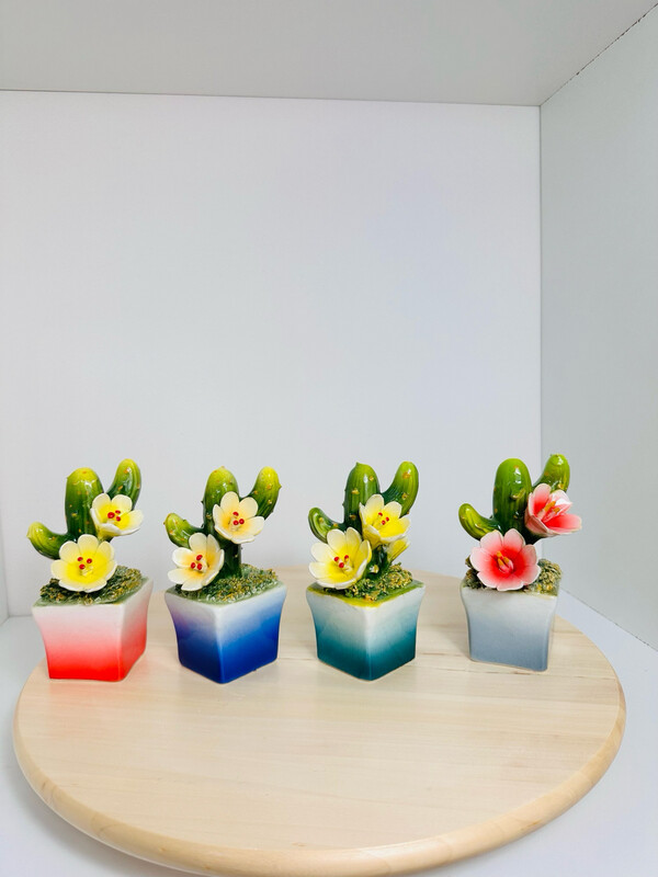 cactus moderno in ceramica