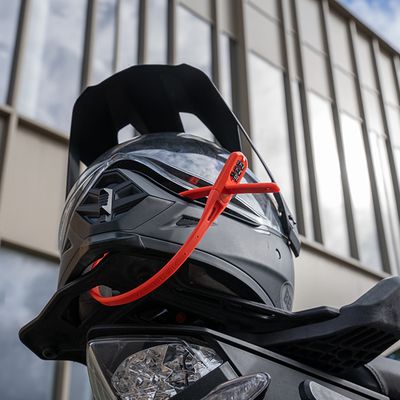 HELMET LOCKS