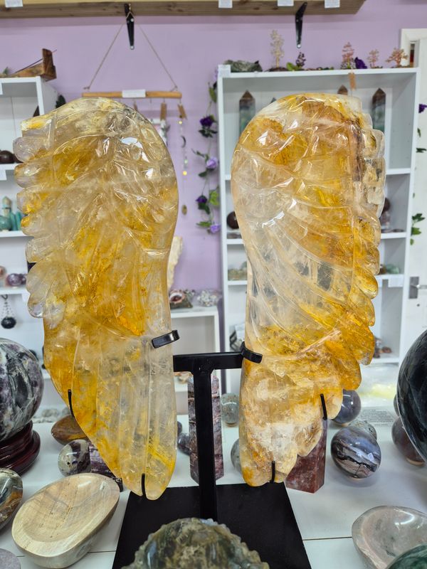 Golden Healer Statement Wings