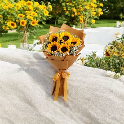 Sun Flowers