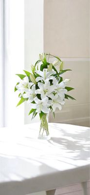 Lillies In Vase