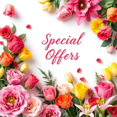 Special Offers