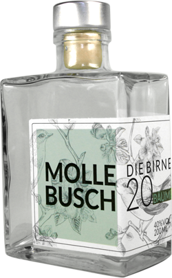 Mollebusch (Hubert Fröhlich)