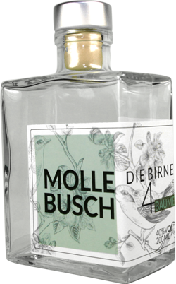 Mollebusch (Dr. Thomas Pabst)