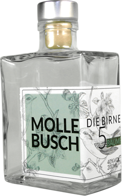 Mollebusch (Wolfgang Schlett)