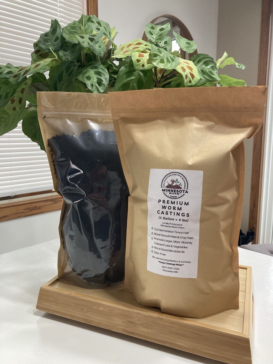 Premium Worm Castings (One Gallon)