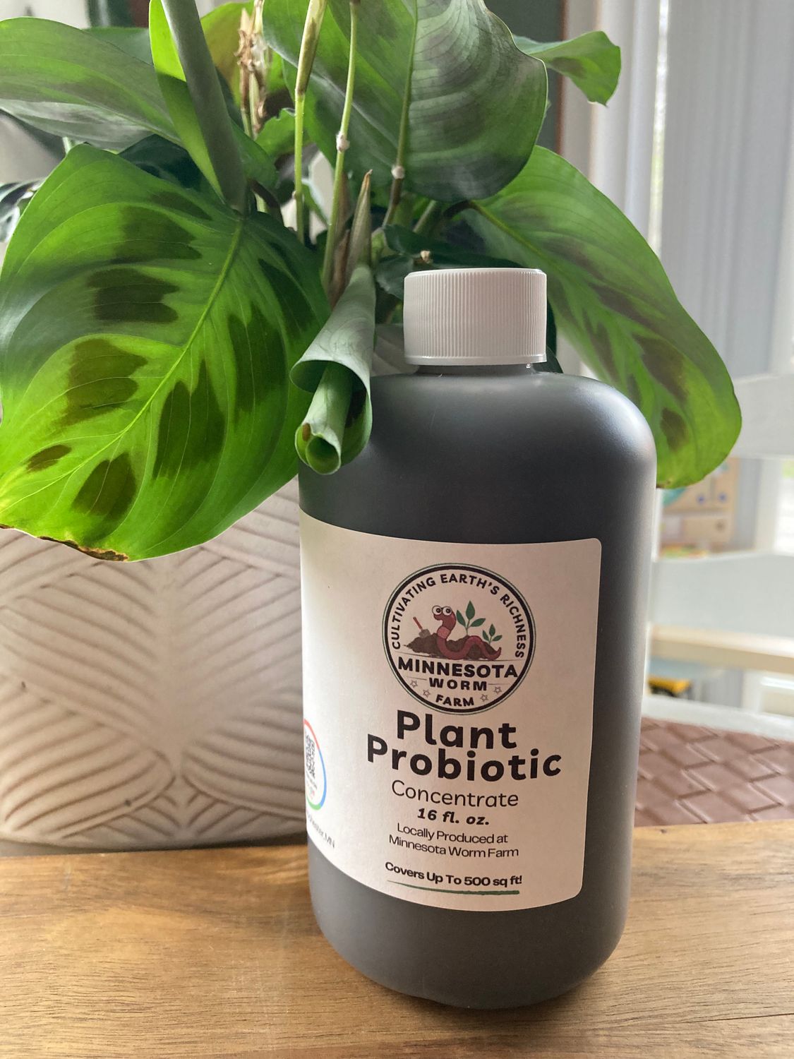 Plant Probiotic