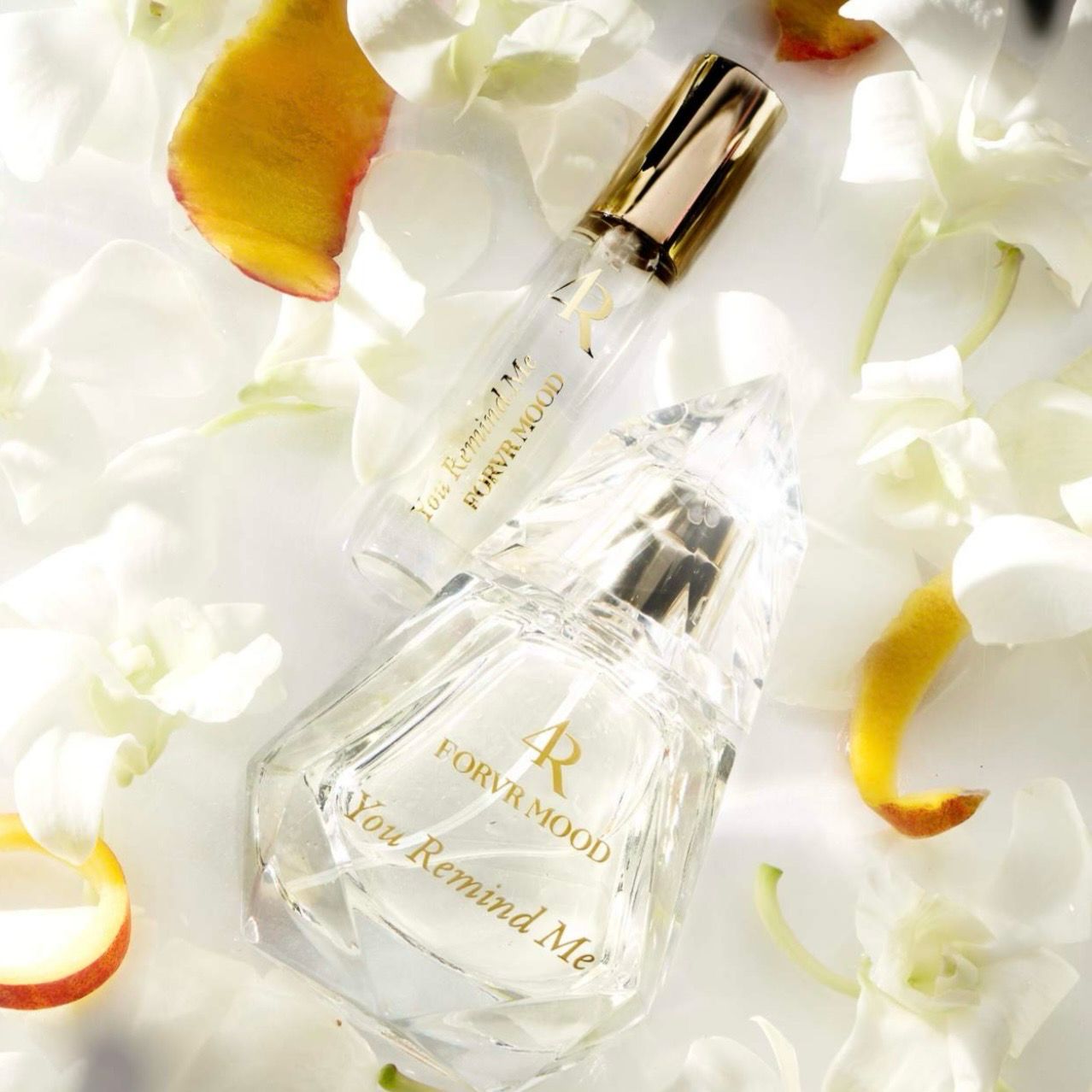 FORVR Mood - You Remind Me