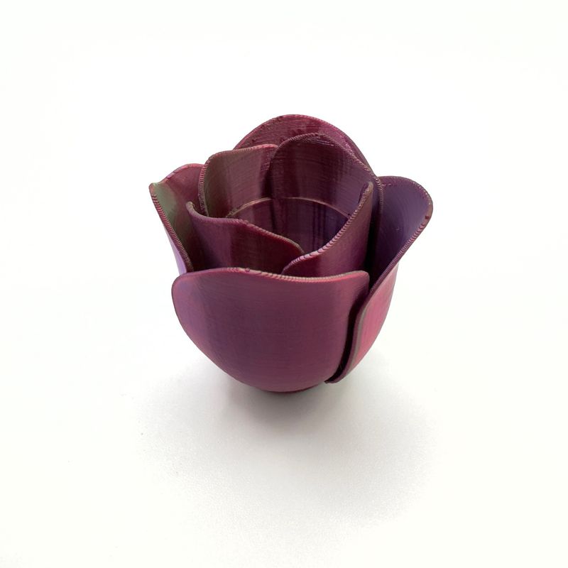Rose hide