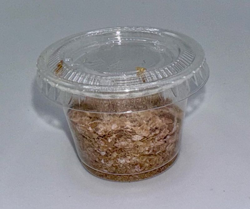 XS/Mini Mealworms 1-2mo supply (Add On For Spood Orders Only)