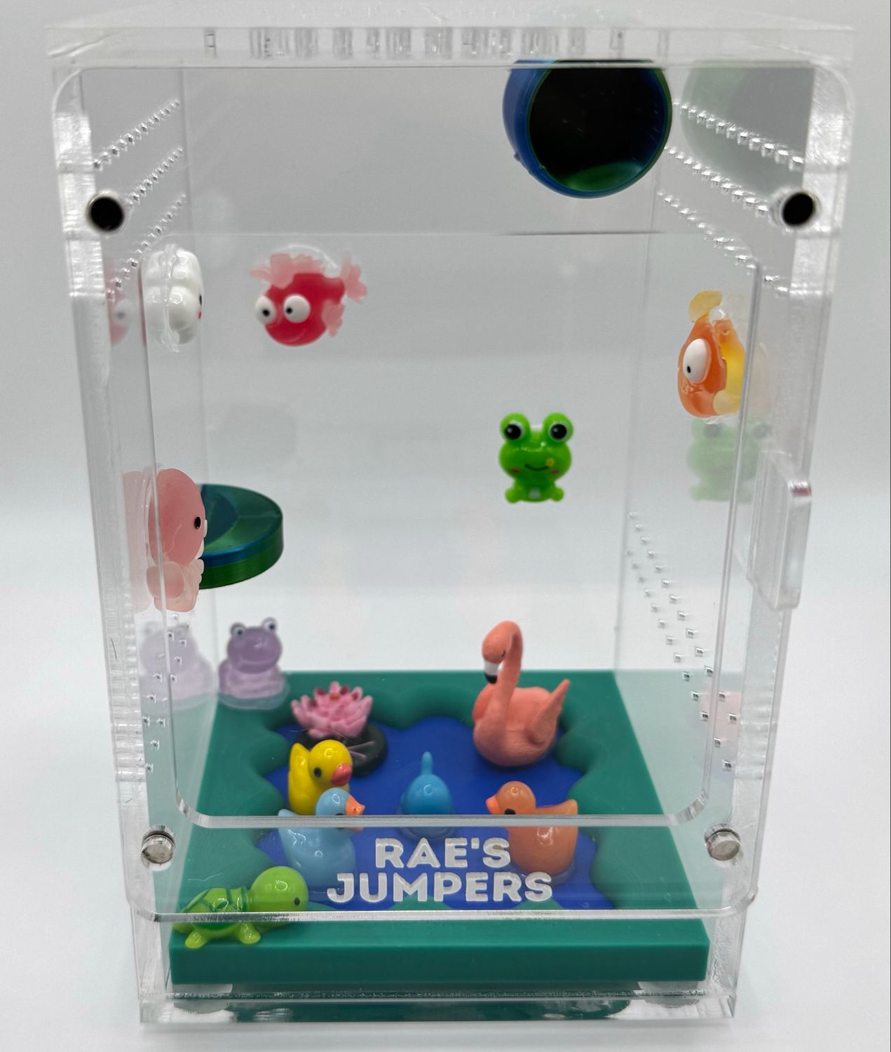 Fun Time With Duckies- Large Enclosure
