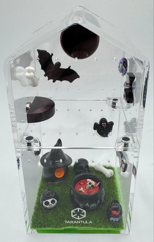 TC Canopy Understory- Witchy