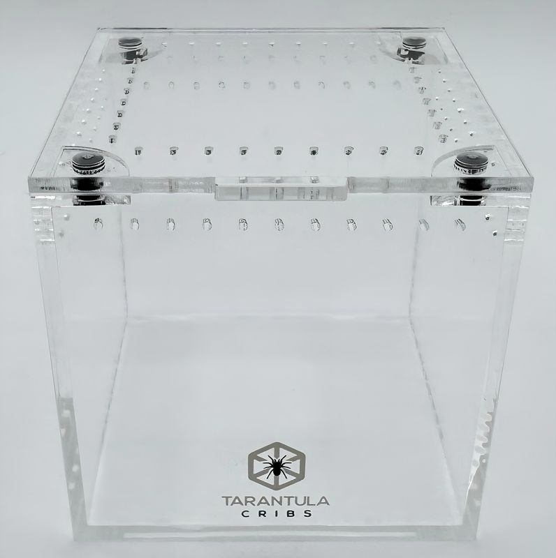 3&quot; Tarantula Cube TC