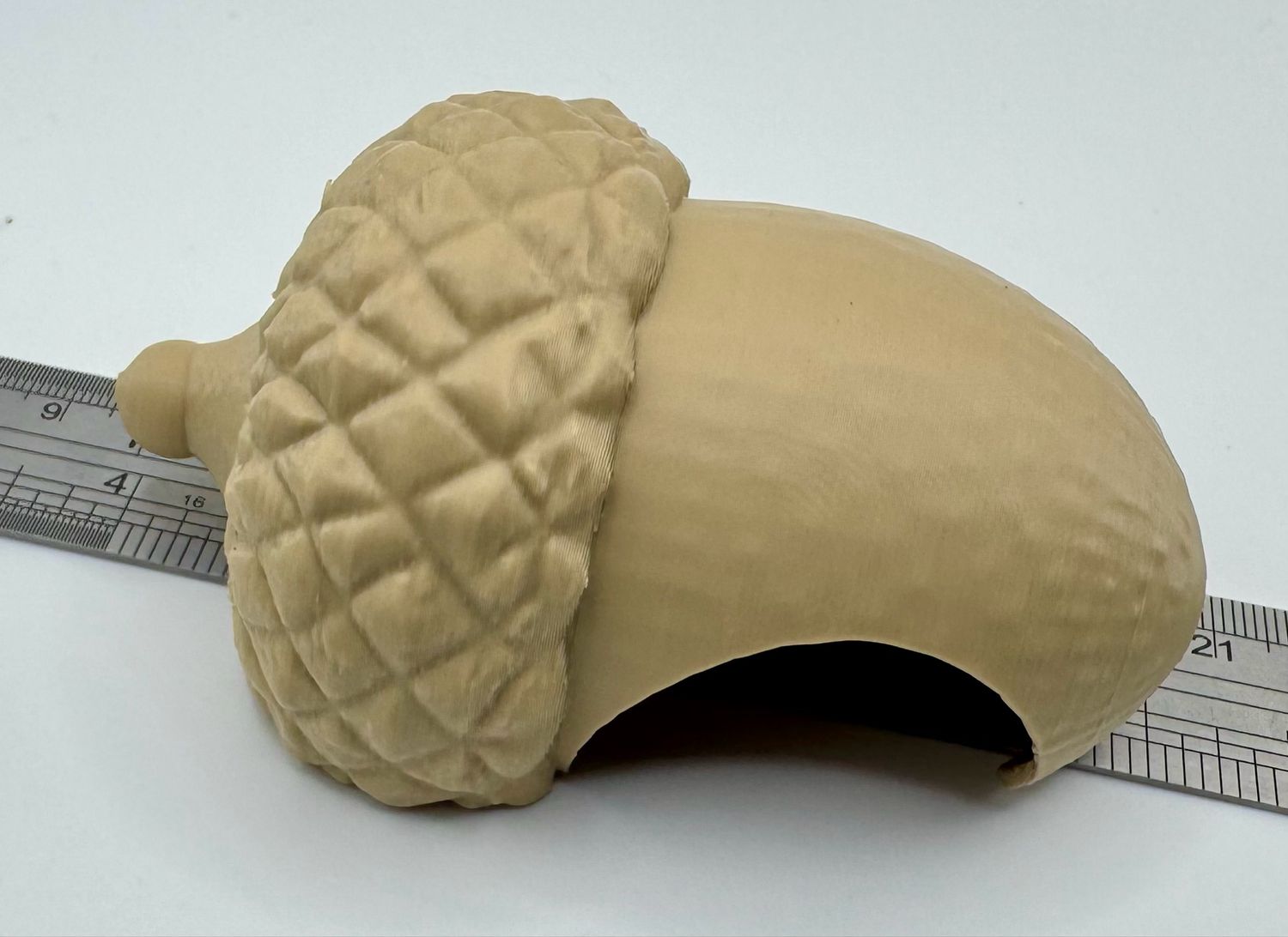 Acorn Tarantula Hide 4&quot;