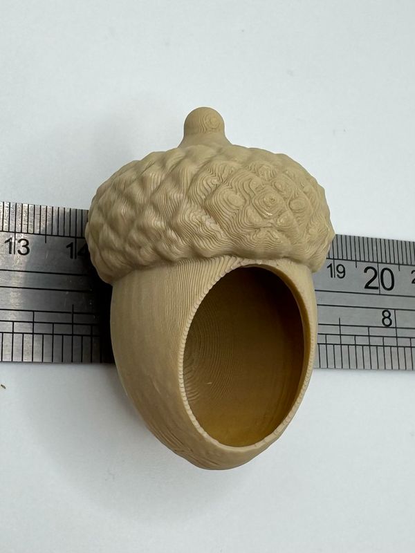 Acorn Hide