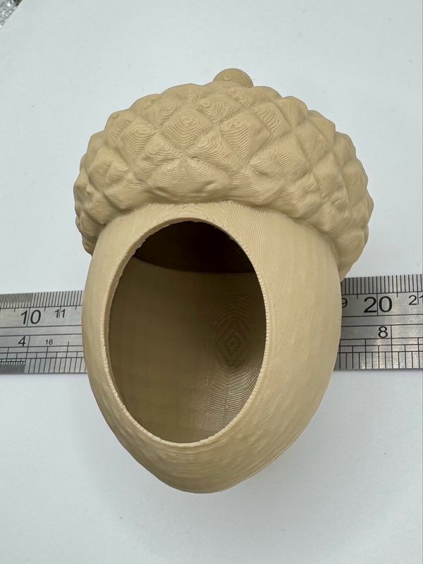 Jumbo Acorn Hide - Crested Geckos