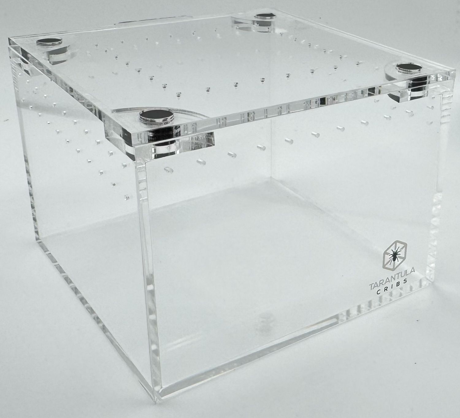 4” Tarantula Cuboid Mini TC