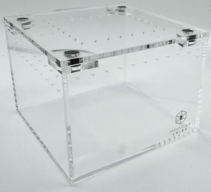 4” Tarantula Cuboid Mini TC