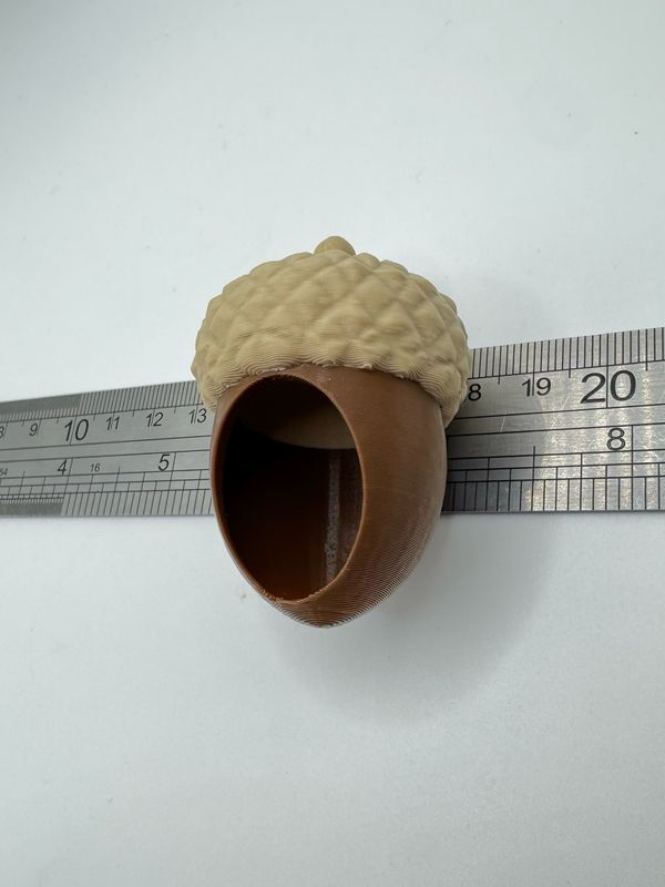 Acorn Hide