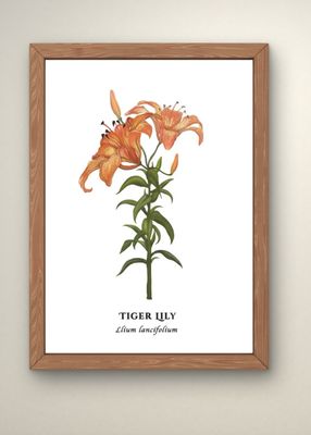 Prints