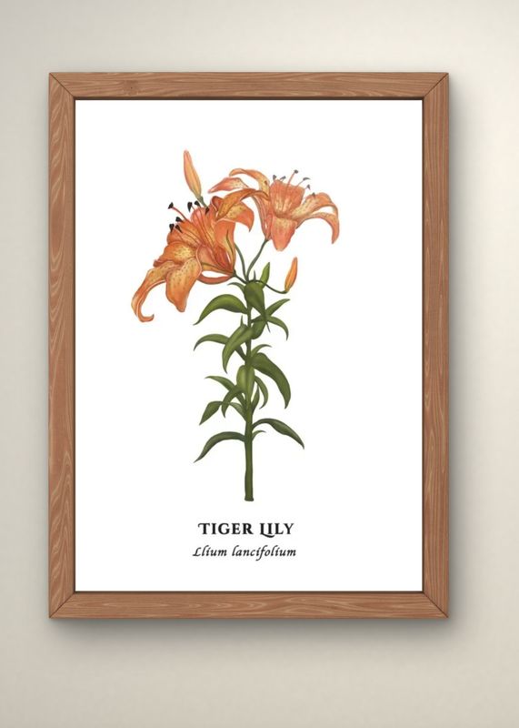 Prints