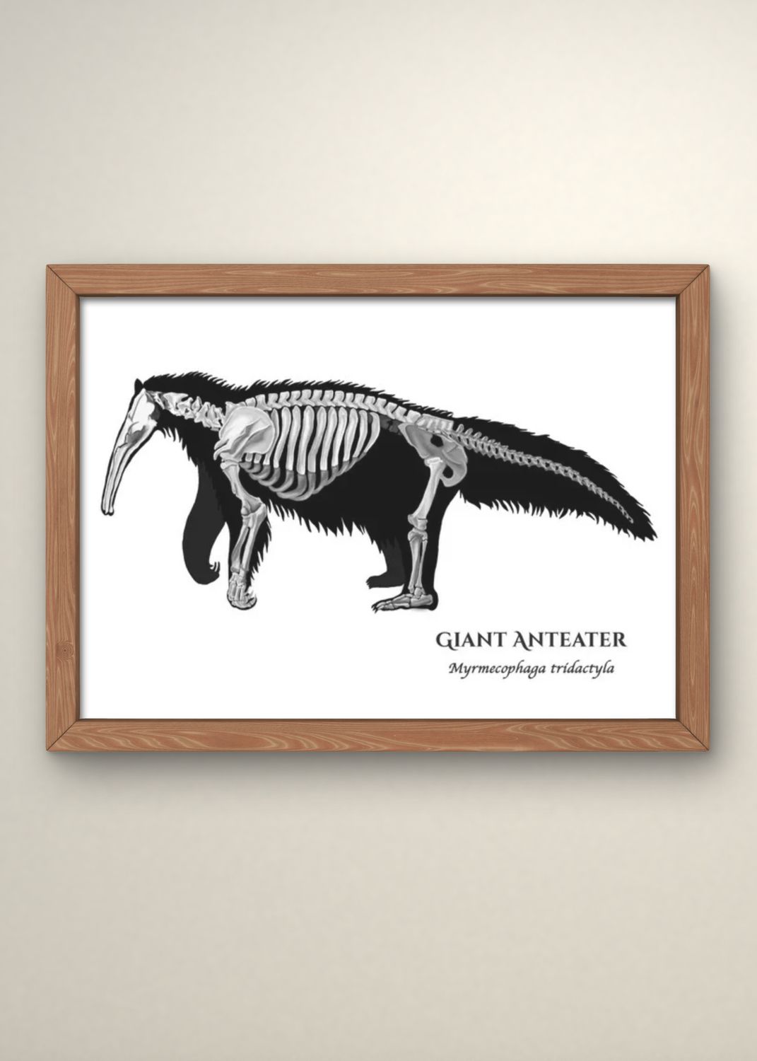 Giant Anteater Print