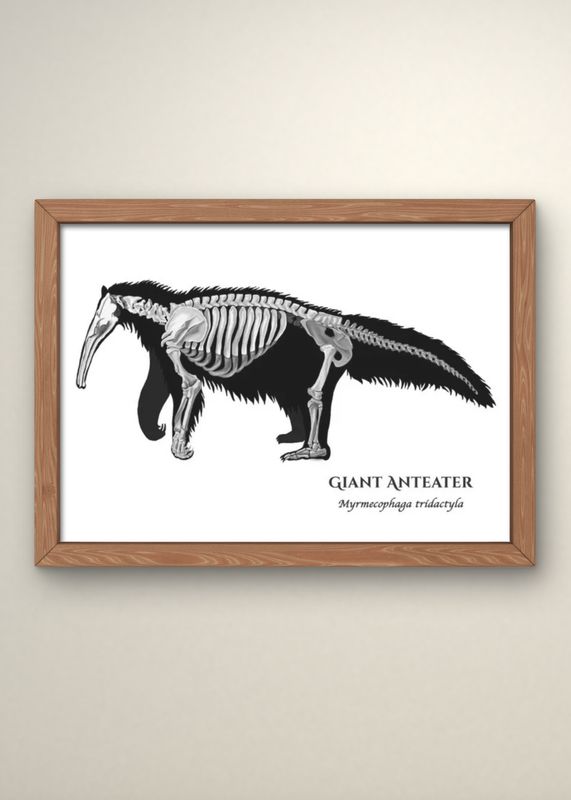 Giant Anteater Print