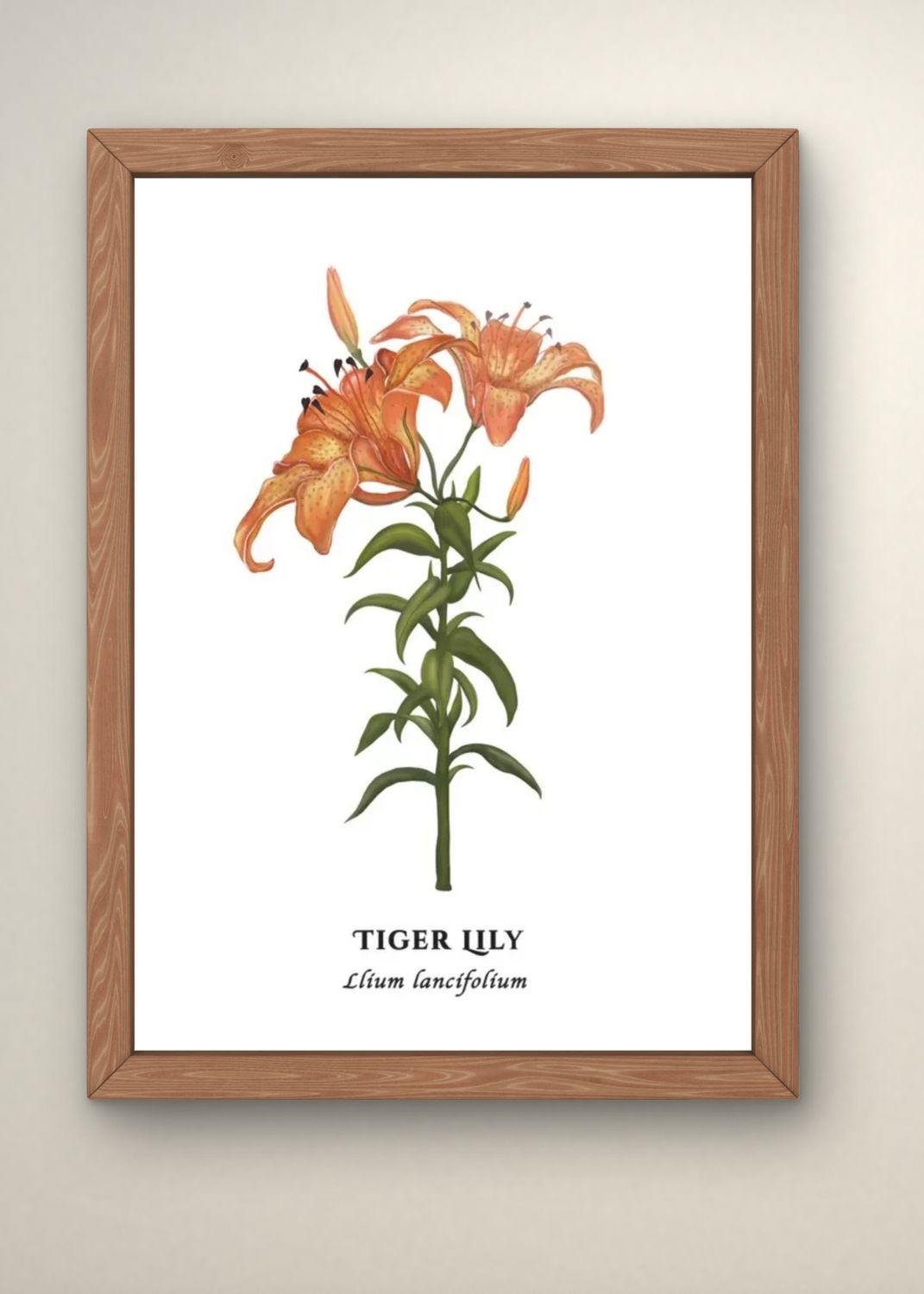 Tiger Lily Print