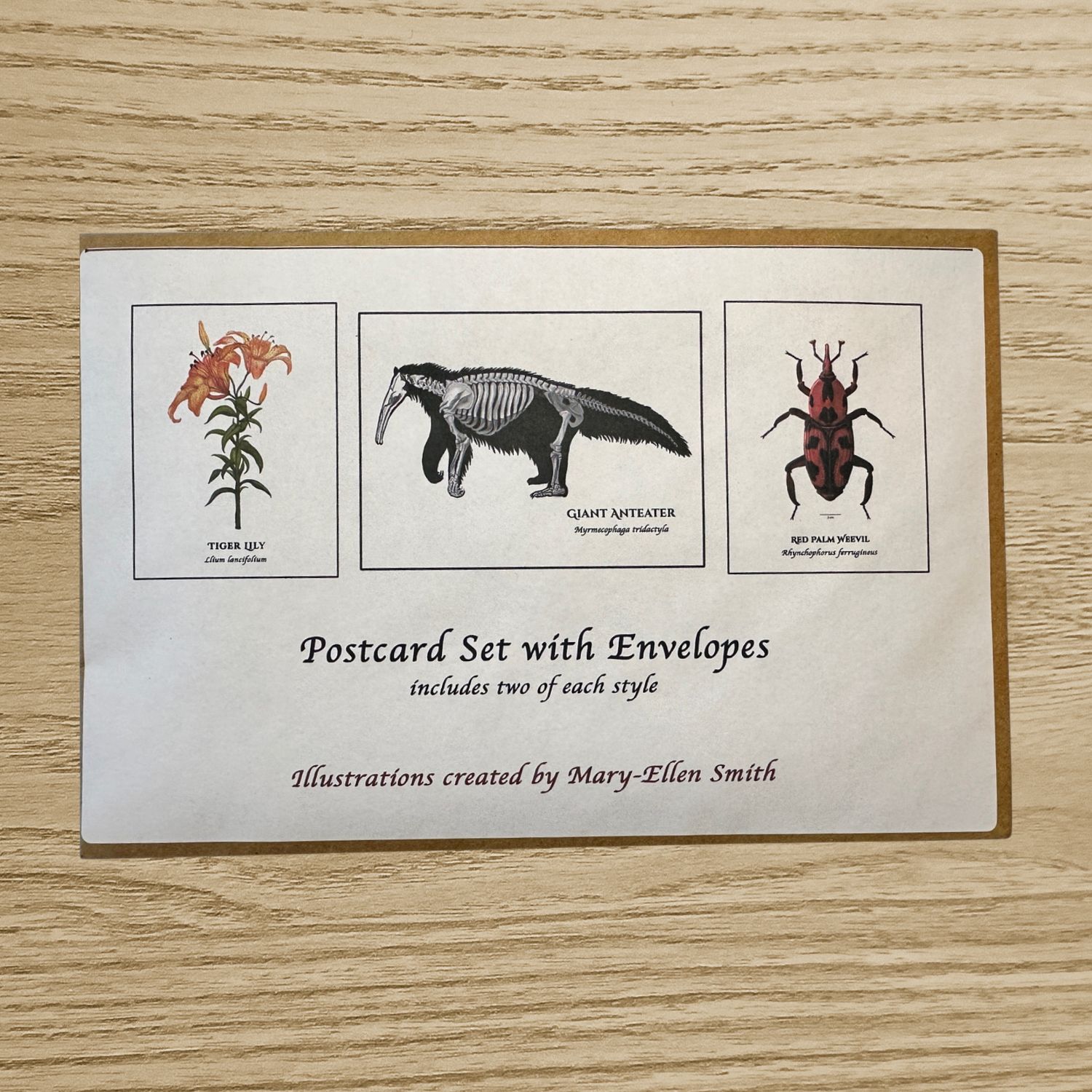 Postcard Set