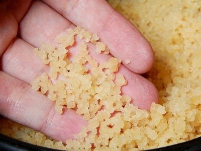 KÉFIR, TÍBICOS, BACILOS - 10 g en Agua o leche