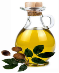 ACEITE DE COPAIBA - Frasco x 12 mm