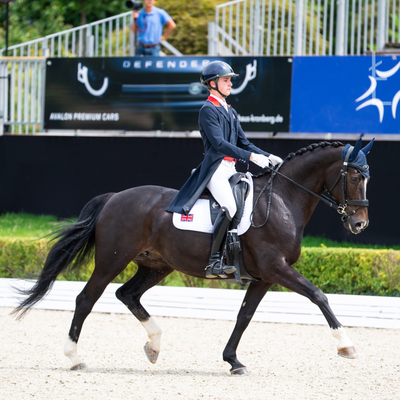 Dressage Range