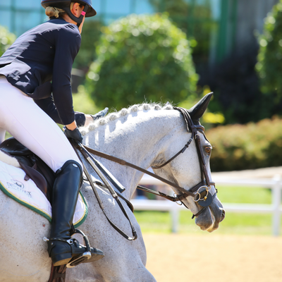 Dressage Range
