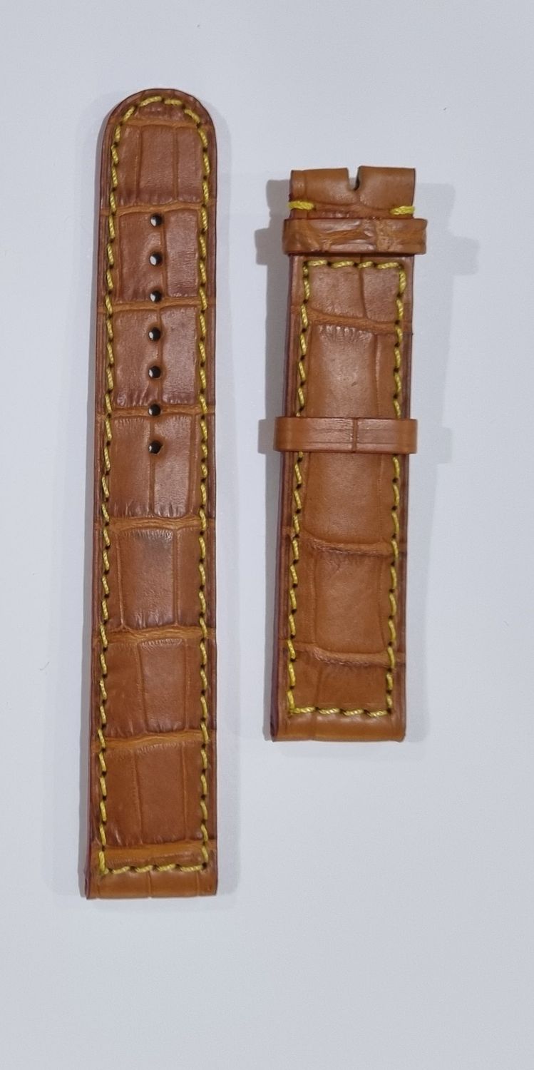 Correa Eberhard XL