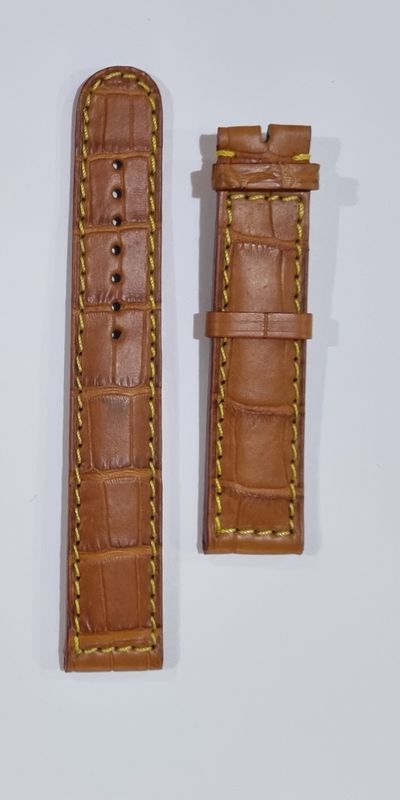 Correa Eberhard XL