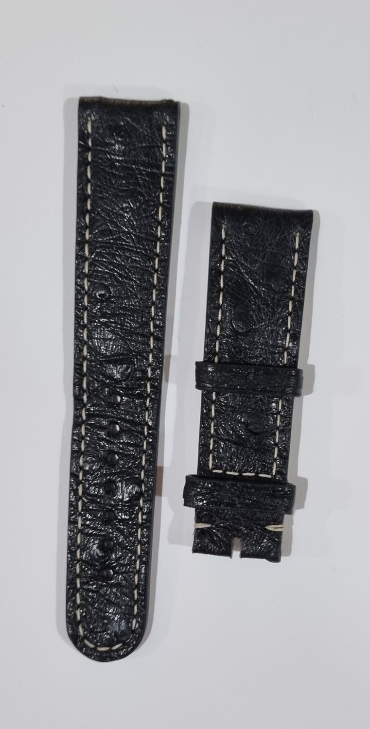 Correa Eberhard avestruz XS