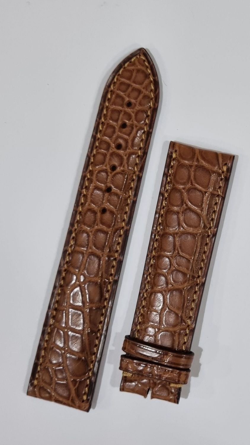 Correa Eberhard aligator
